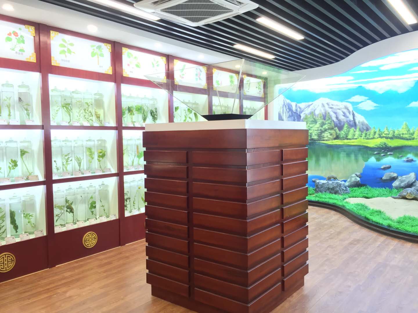 3d全息展示柜怎么這么受歡迎